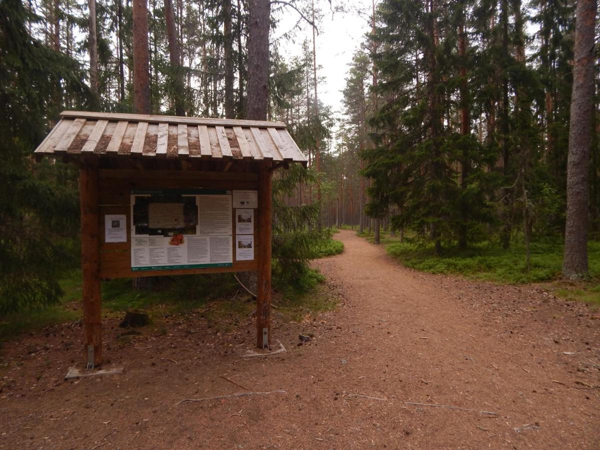 Haaviku Nature Cottage Tepelvalja Exteriér fotografie