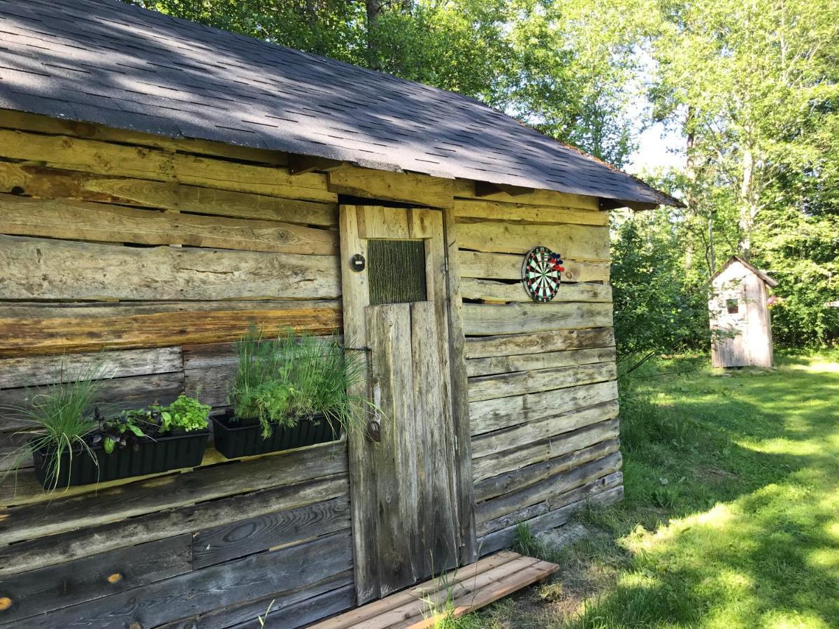 Haaviku Nature Cottage Tepelvalja Exteriér fotografie