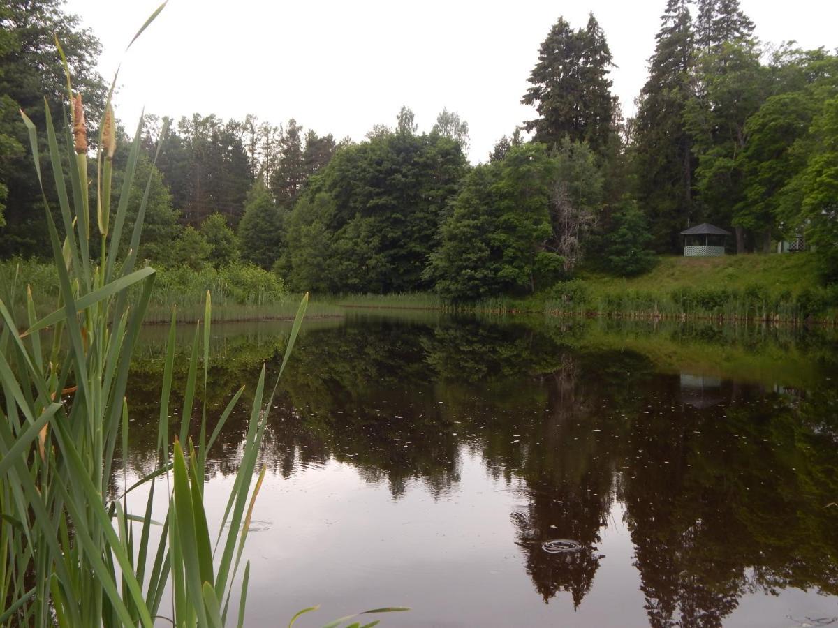 Haaviku Nature Cottage Tepelvalja Exteriér fotografie