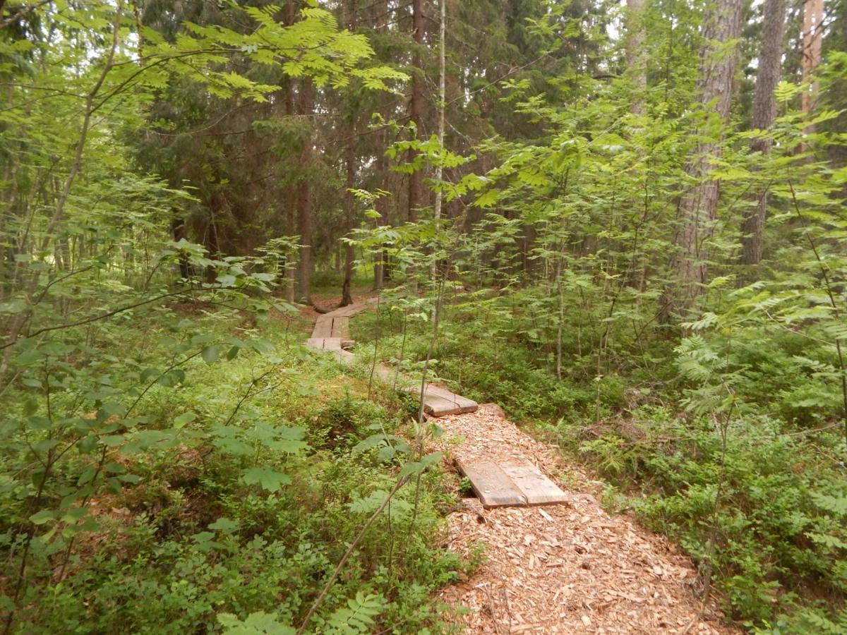 Haaviku Nature Cottage Tepelvalja Exteriér fotografie